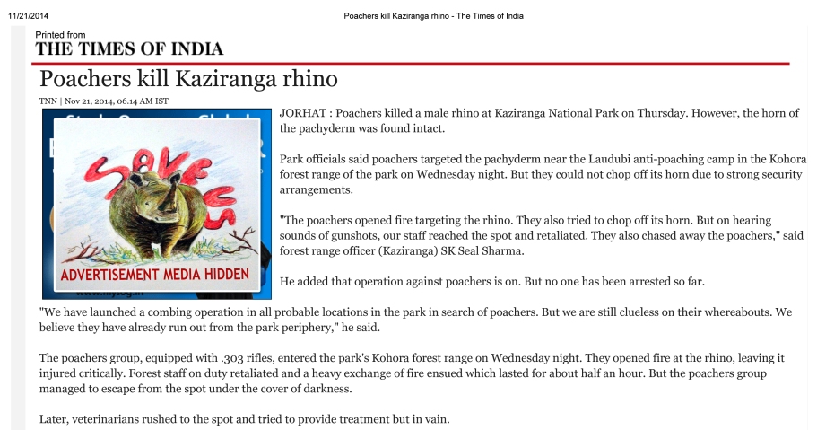 Poachers kill Kaziranga rhino - The Times of India-1