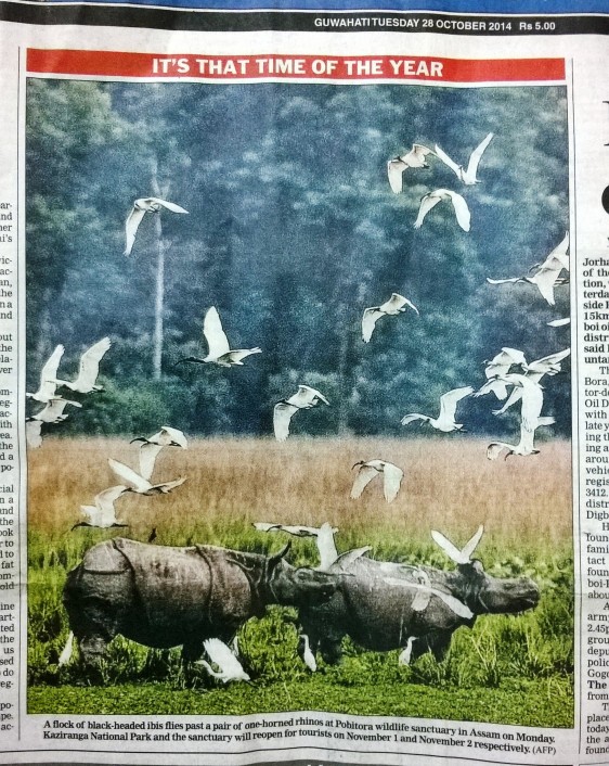 Courtesy The Telegraph, Guwahati Edition Tuesday 28 October 2014