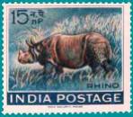 460_Indian_Rhinoceros