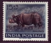 india-rhino