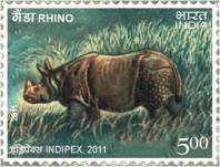 Rhino In postage stamps
